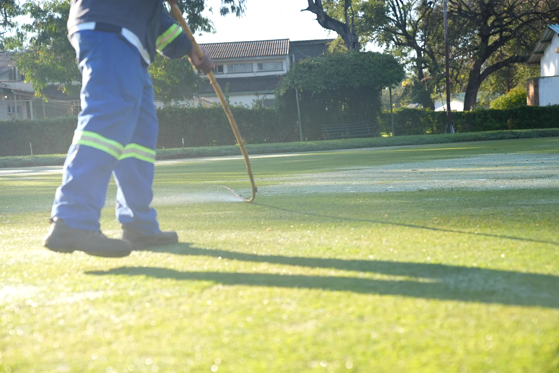 Greens kept immaculate