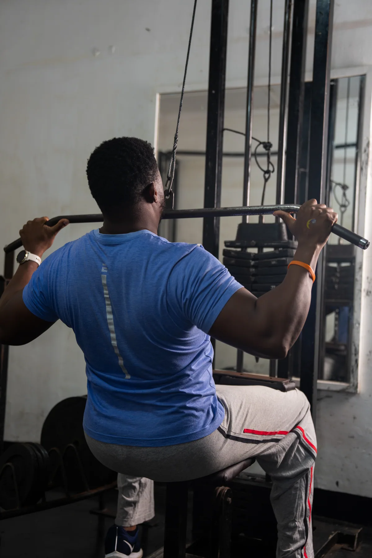 The fitness suite