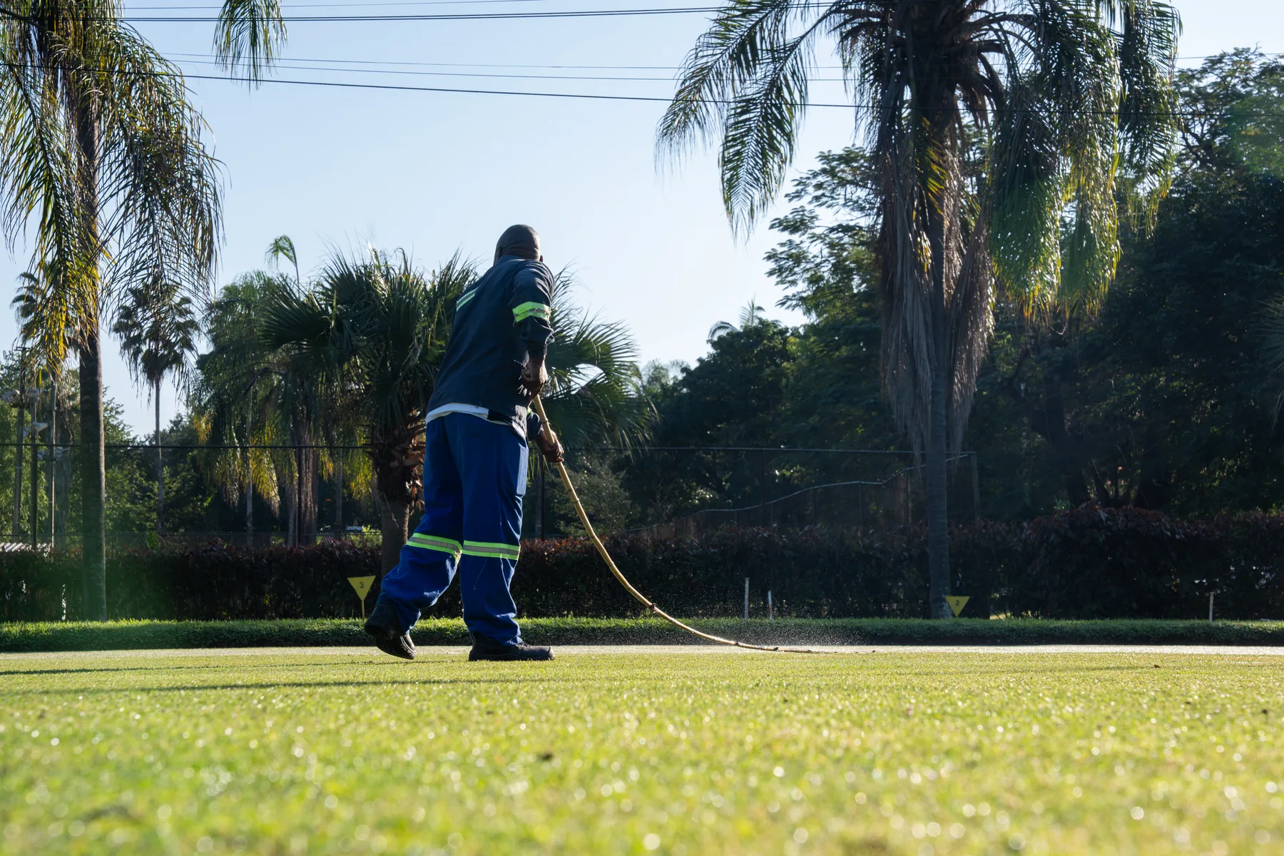 Watering the green
