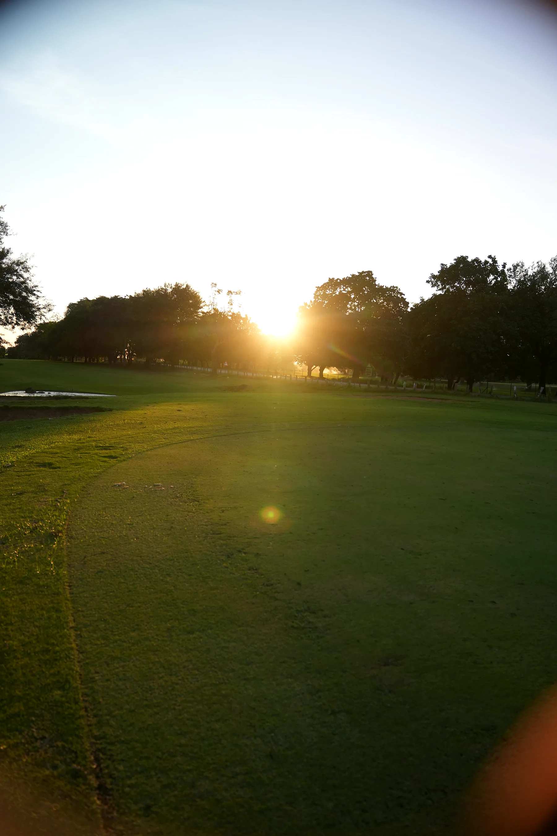 Golden Lowveld sunset over the estate